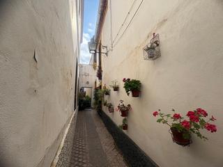 Residential Plot in Casco Histórico  - Ribera - San Basilio. Vive o invierte en el casco histórico de córdoba 135m de pura op