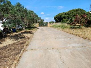 Casale  Calle en los carrasquitos