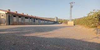 Capannone industriale  Polígono poligono