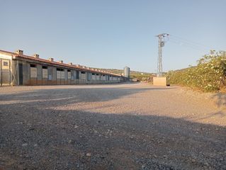 Industrial building  Polígono poligono