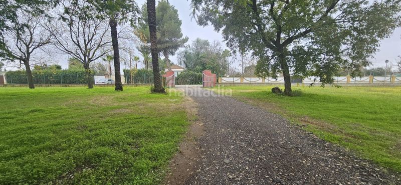 Foto c987eb43-6be6-41ce-b0bb-227f70459e47. Casa amb aparcament a Pedanías Norte Utrera