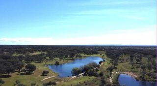 Fondo rustico  Terrenos polígono