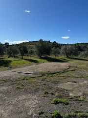 Propriété  Terrenos paraje los castaños