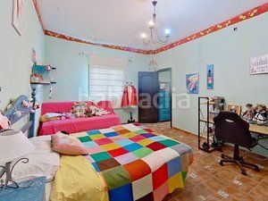 Foto ff810a3d-110c-41c3-a017-922ab83081c1. Masia a Bollullos Par del Condado