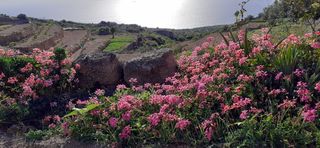 Bauernhof  Camino montaña abajo