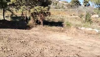 Residential Plot  Calle drago ( can coral)