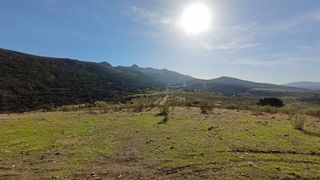 Fondo rustico  Polígono poligono