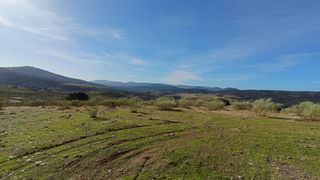 Landgut  Terrenos poligono maniantinos