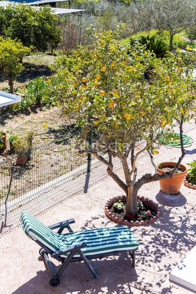 Foto d7438e97-6997-46de-bedd-39c949b0a649. Casa amb aparcament a Campanillas Málaga