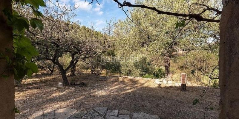 Foto 02ce5be2-b6fe-43a8-8dc5-5376c035d5f0. Finca rústica a Paüls