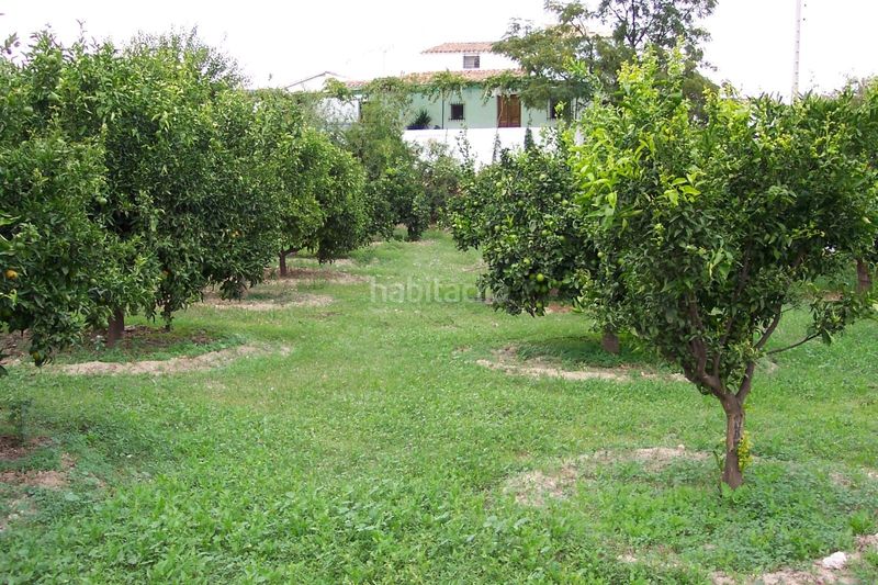 Foto 062f1124-fc0c-410c-9d80-d548e93c8c4e. Finca rústica a Lubrín