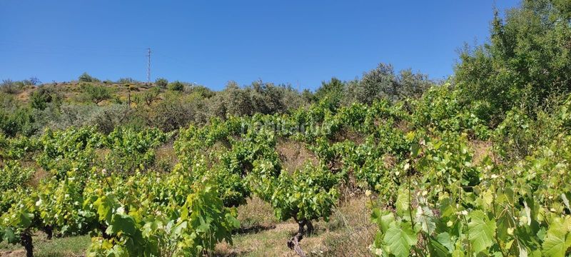 Foto 09a5a5a1-a437-4721-9237-83f584fffc54. Finca rústica a Lubrín