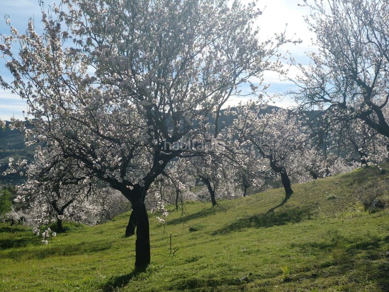 Foto b60b6783-1dab-49ac-826c-14613636e91a. Finca rústica a Lubrín