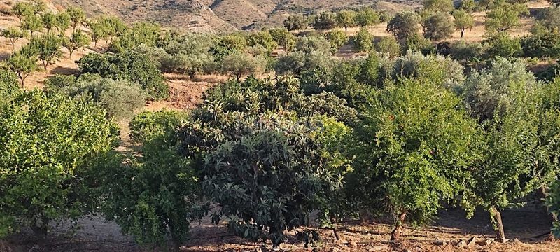 Foto fde8efe9-7bf3-4eb9-90df-9c08ce7fd79b. Finca rústica a Lubrín