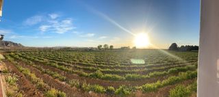 Landgut in Parcela CASCANTE