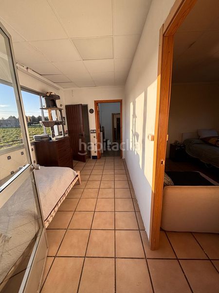 Foto 0d06d097-2c57-48cb-b9a7-db4712012bdf. Finca rústica a Cabanes y Las Fuentes Villena