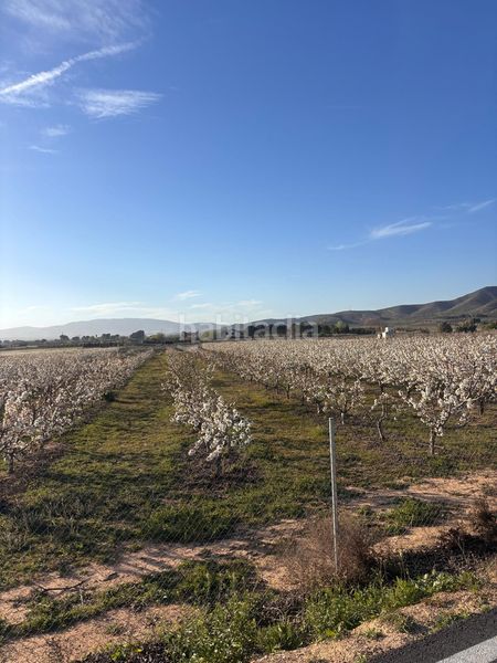 Foto 4e92b181-eaaa-4e22-8c62-f07267afaddc. Finca rústica a Cabanes y Las Fuentes Villena