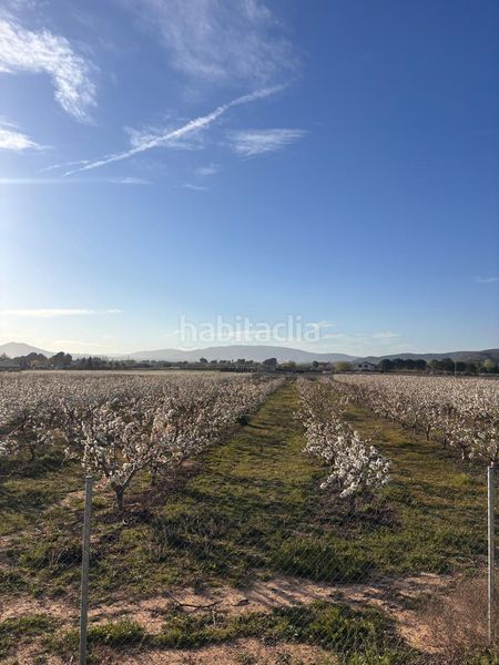 Foto bbfd976b-5d7c-4441-bde1-2df7dbc09c1c. Finca rústica a Cabanes y Las Fuentes Villena