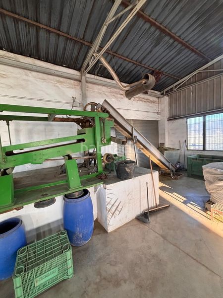 Foto d9a91f05-4762-4478-9b77-92e991745c81. Finca rústica a Cabanes y Las Fuentes Villena