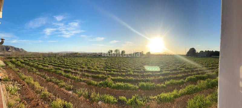 Foto f825449e-6a45-489d-a068-9aa959c2de49. Finca rústica a Cabanes y Las Fuentes Villena