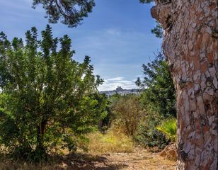 Masia  Partida les quintanes