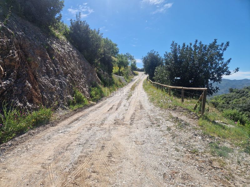 Foto 1f6207df-cd7a-4f4b-a502-575b0a399fc5. Finca rústica a Colmenar