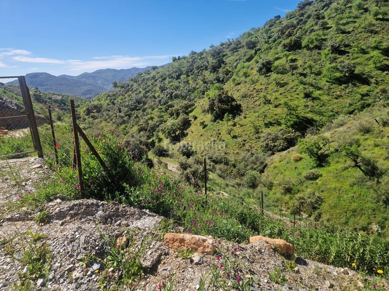 Foto a93d0e2f-b90f-47ff-ae73-e92d43260885. Finca rústica a Colmenar
