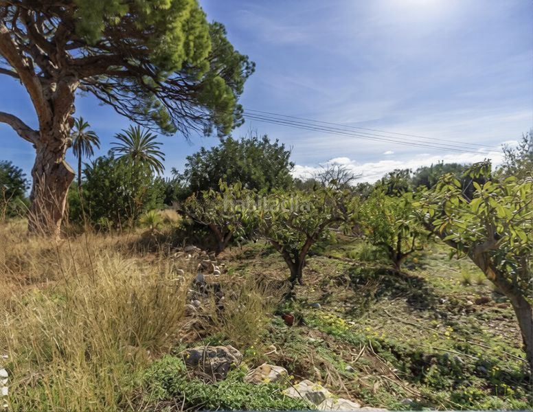 Foto 0ae7d3b7-3576-42c4-8dab-fcf9b6f5712e. Finca rústica en Parcent