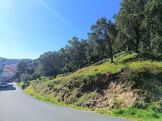 Terreny residencial  Terrenos piñeiral de arriba