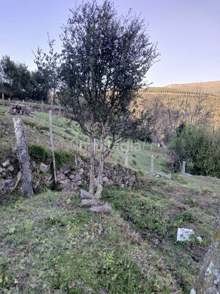 Foto d4a1ad93-a22f-426f-9a86-6e1118c57359. Casa a Neves (As)
