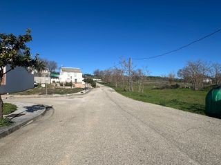 Finca rústica a Urbanización LOS EUCALIPTOS SUR.S.2