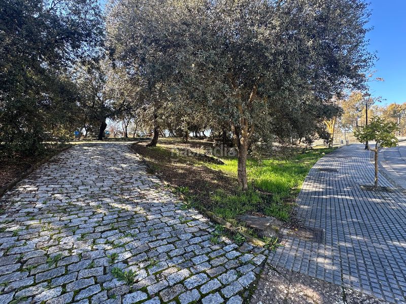 Foto 6b90e45d-e91d-447f-8460-87f716ec5d37. Finca rústica a Archidona
