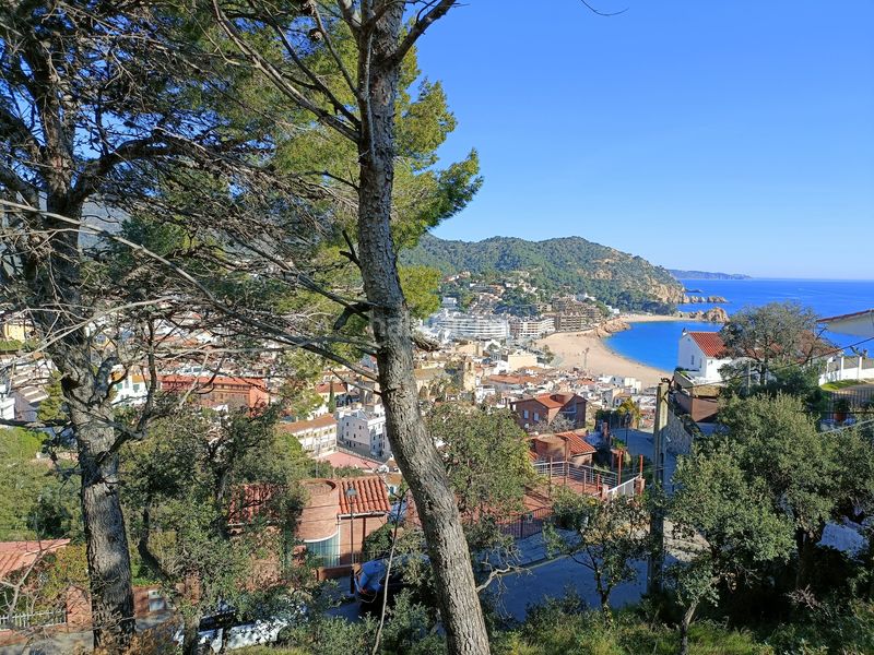 Foto 8bfe15a0-faef-4164-a607-f25d446c64be. Finca rústica a Tossa de Mar Tossa de Mar