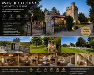 Casa  Camino gato