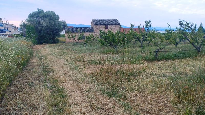 Foto 11ac72cb-f0fa-4f60-bbda-247df38a1061. Terreny residencial a Móra d´Ebre