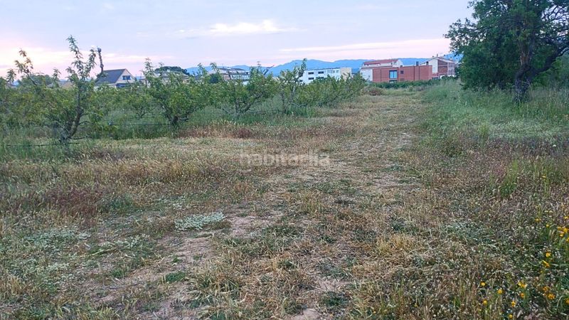Foto 147de323-a4fc-41d8-875c-ad73072b1f40. Terreny residencial a Móra d´Ebre
