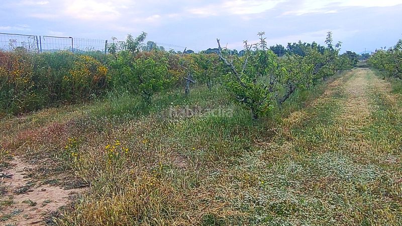 Foto 3ad6d257-7524-4b78-8709-c023419657e5. Terreny residencial a Móra d´Ebre