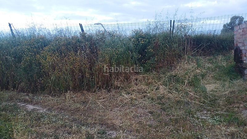 Foto 6669a3df-790b-4e78-a1ce-a425f2eeb2c4. Terreny residencial a Móra d´Ebre