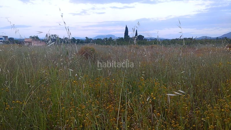 Foto 6d968df3-3380-428f-bbaf-11a0cb802d2a. Terreny residencial a Móra d´Ebre