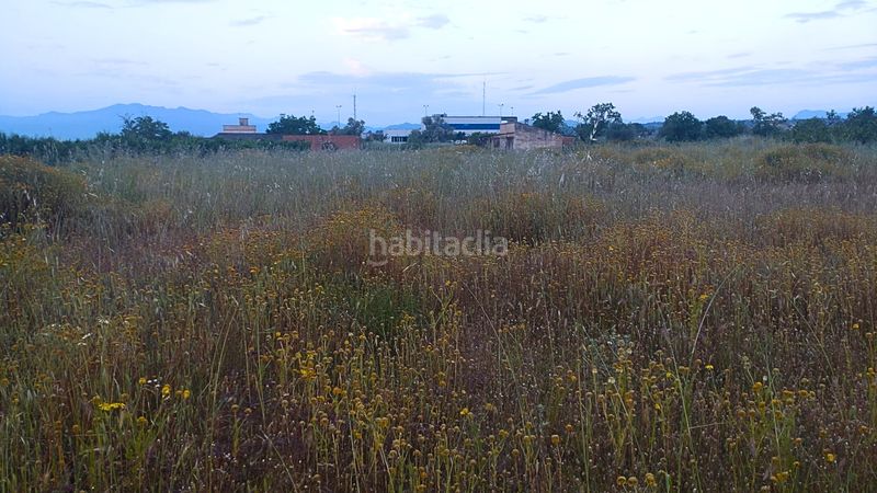 Foto 80bca983-4d36-431f-a54f-bb7080593286. Terreny residencial a Móra d´Ebre