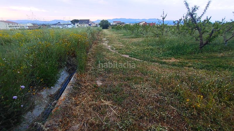 Foto 97858c6e-d15b-4144-9b92-5e8760558ef1. Terreny residencial a Móra d´Ebre