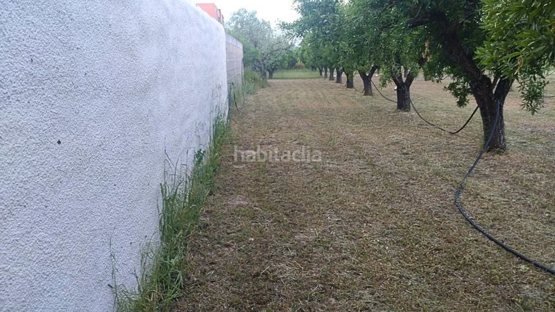 Foto 9f134db1-c28f-4b6c-a136-ee98c7acd3aa. Terreny residencial a Móra d´Ebre