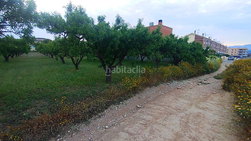 Foto ae1db4b0-db45-44b9-82e8-b732e152ca16. Terreny residencial a Móra d´Ebre