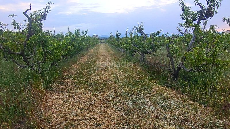 Foto b2f7db36-2709-4726-865b-57a74fabfe96. Terreny residencial a Móra d´Ebre