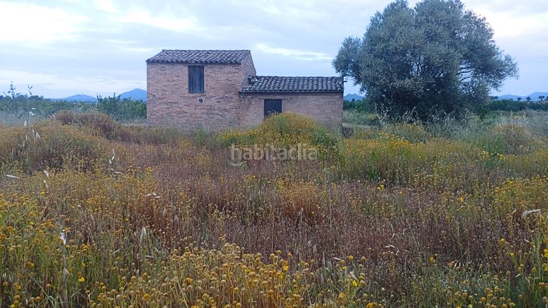 Foto b6a71c81-075c-4c0c-b6f5-9a8525db4770. Terreny residencial a Móra d´Ebre