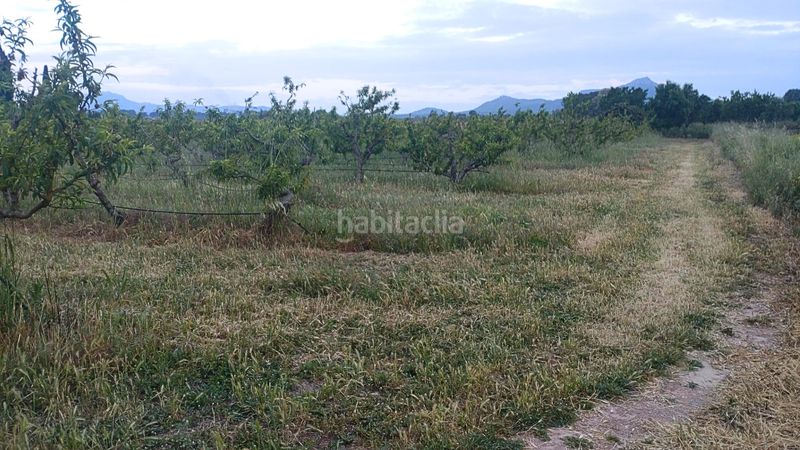 Foto bc84d007-5d19-434a-85d1-56015ffbf86b. Terreny residencial a Móra d´Ebre