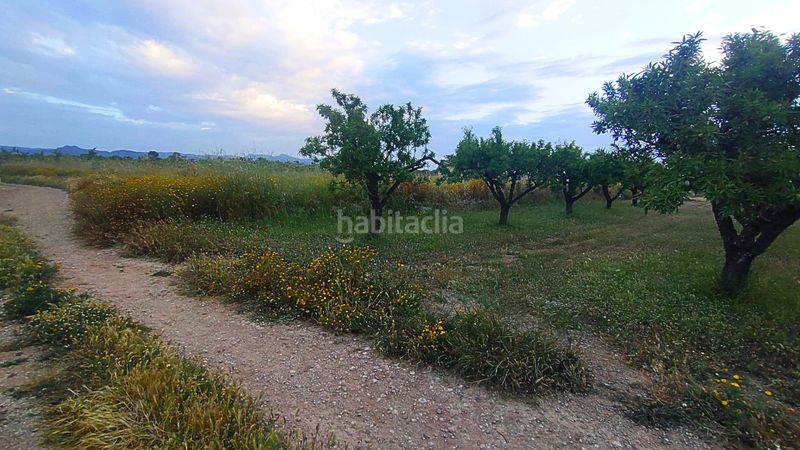 Foto cdbe6649-34a0-40db-bba2-984fb5360fc2. Terreny residencial a Móra d´Ebre