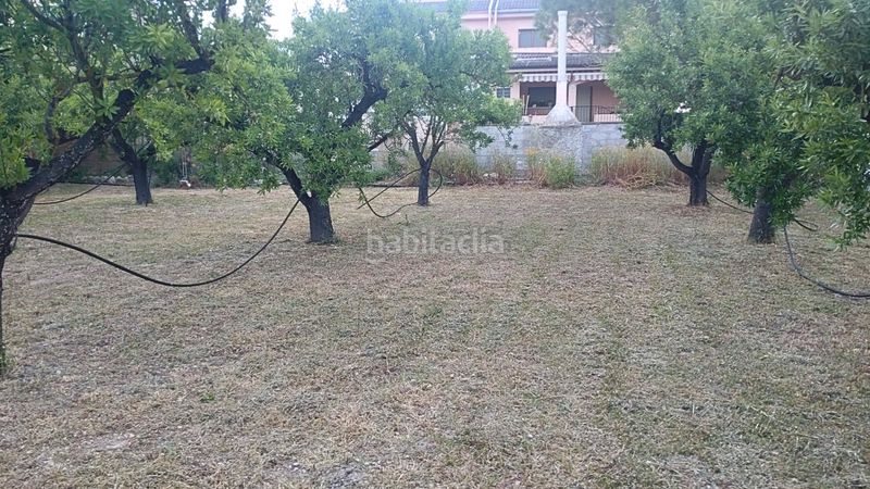 Foto d86a546b-2086-4d42-b799-6d9cd5bac335. Terreny residencial a Móra d´Ebre
