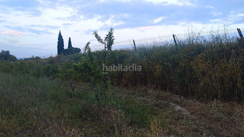 Foto db09253d-e3bd-4ee2-bb8b-4abe05b53e80. Terreny residencial a Móra d´Ebre