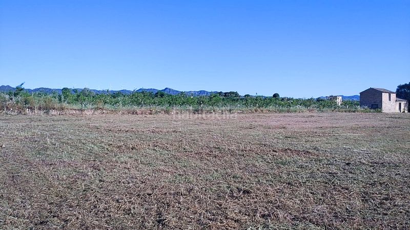 Foto df75a2dd-7505-478c-91fe-c1dfb1cae1d3. Terreny residencial a Móra d´Ebre
